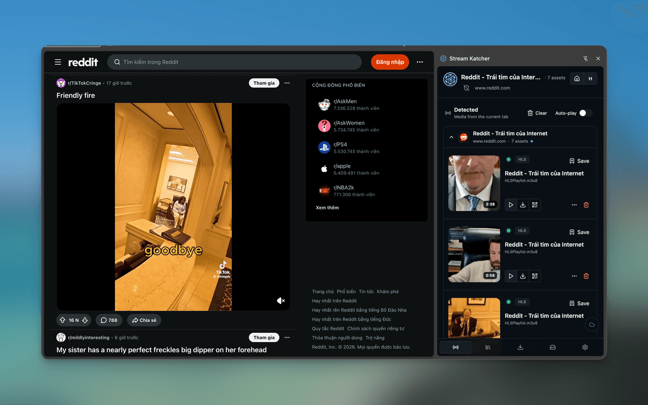 Stream Katcher detected media surface beside a browser tab