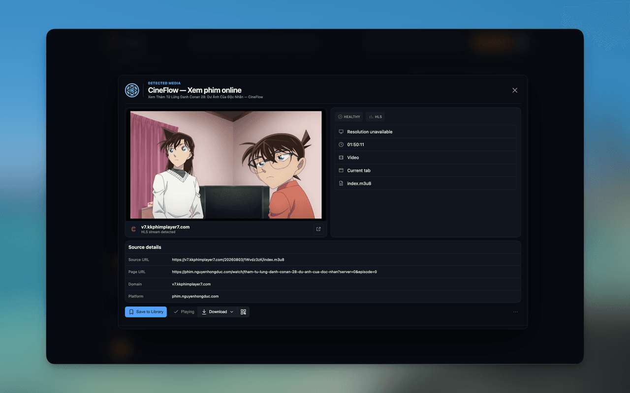 Stream Katcher media details surface